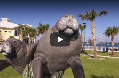 Watch Video of the Eco Discovery Tour