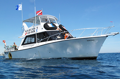 dive charter boat in riviera beach