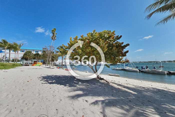 Virtual Tour of Bicentennial Park