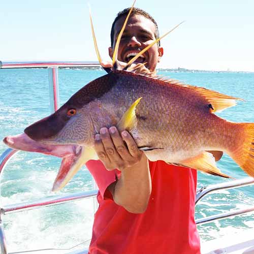 Photos of RBMV on Instagram